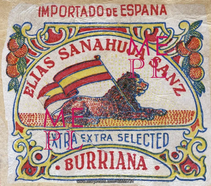 : Fruit Label -- Spanish oranges : Fruit Label -- Spanish oranges