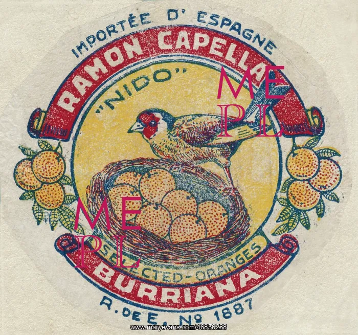 : Fruit Label -- Spanish oranges : Fruit Label -- Spanish oranges