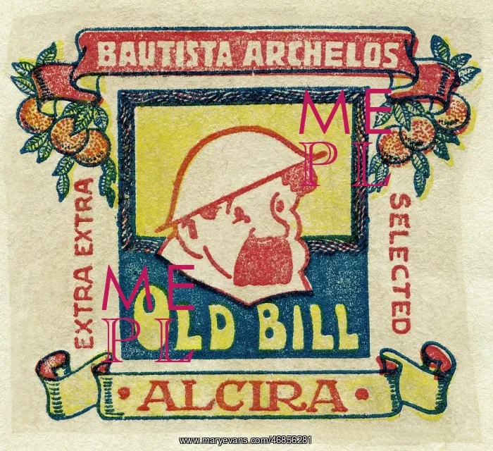 : Fruit Label -- Spanish oranges : Fruit Label -- Spanish oranges