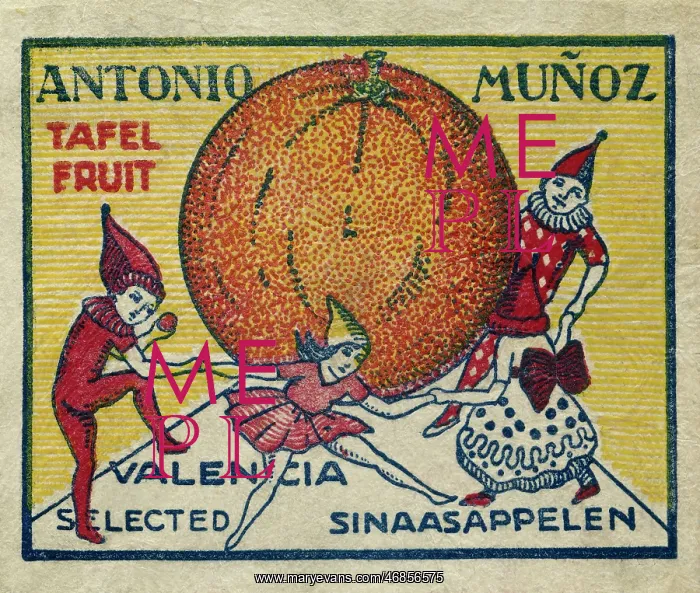 : Fruit Label -- Spanish oranges : Fruit Label -- Spanish oranges