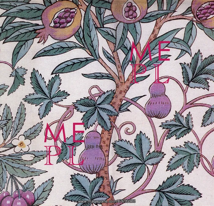  : Fruit and Leaf Design