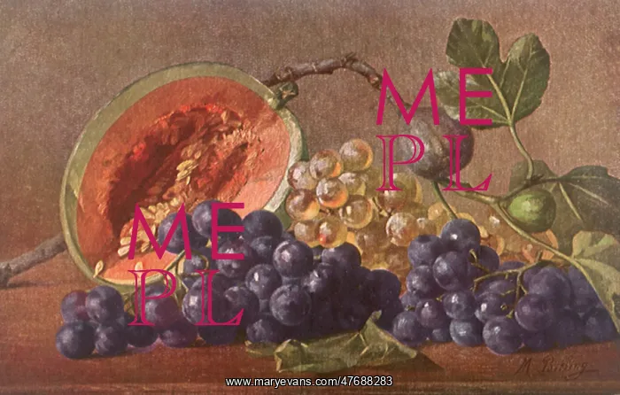 : Fruit Still Life : Fruit Still Life