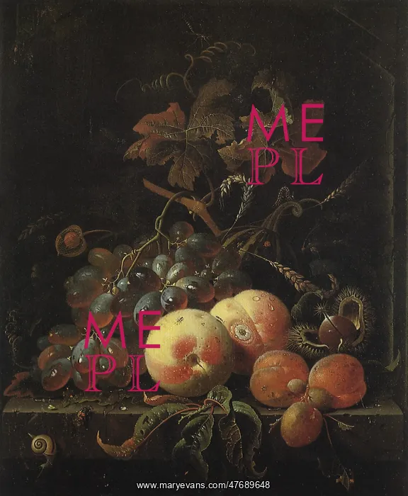 : Fruit Still Life with Peaches, Grapes & Apricots : Fruit Still Life with Peaches, Grapes & Apricots