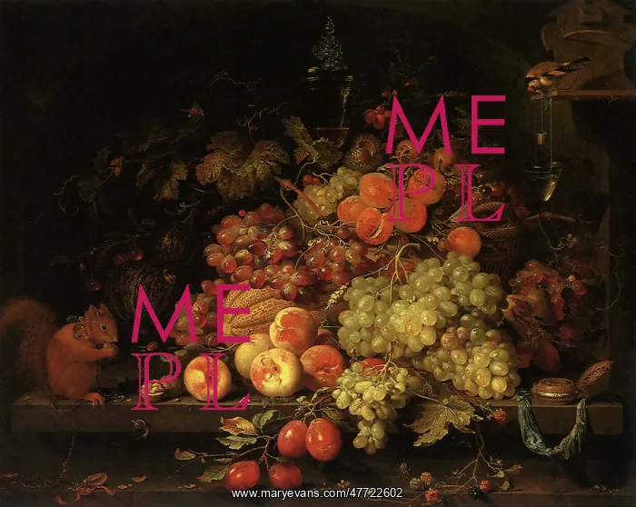 : Fruit Still Life with Squirrel and Goldfinch : Fruit Still Life with Squirrel and Goldfinch