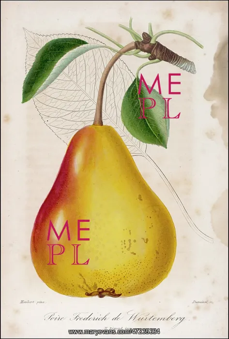  : FRUIT / PEAR C1850