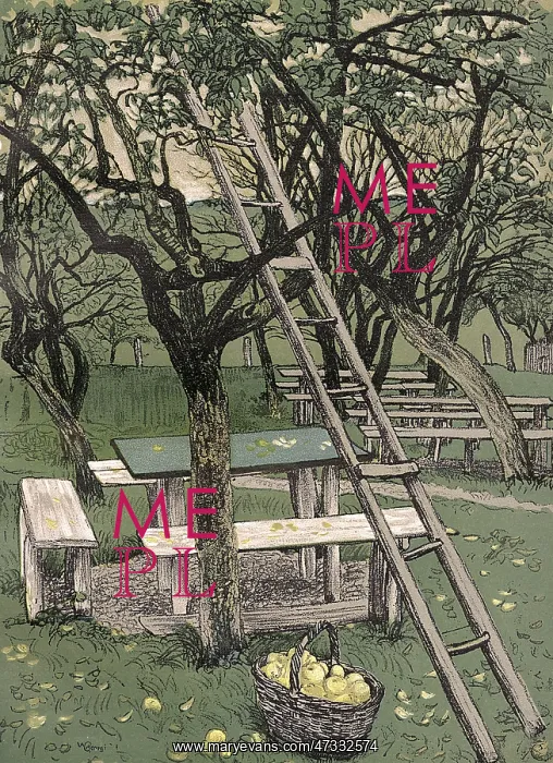 : FRUIT PICKING LADDER : FRUIT PICKING LADDER