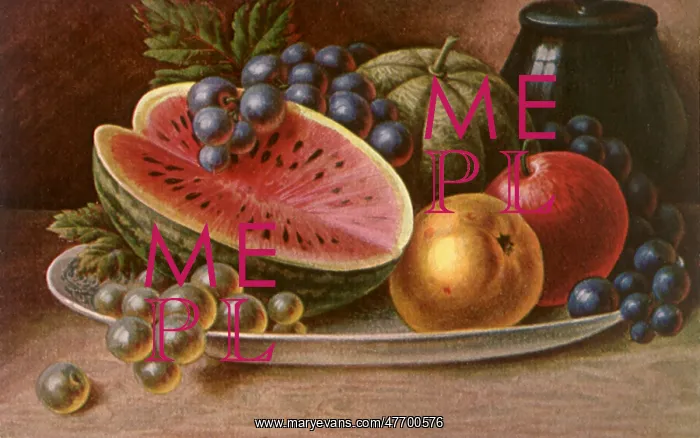 : Fruit Plate Still Life : Fruit Plate Still Life