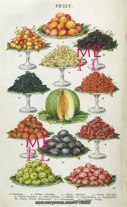  : Fruit on Platters 1907