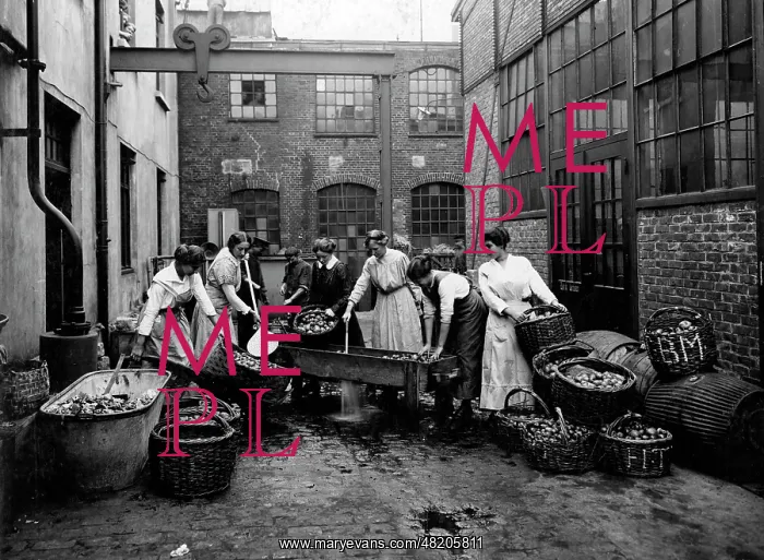 : Fruit processing, 1914 : Fruit processing, 1914