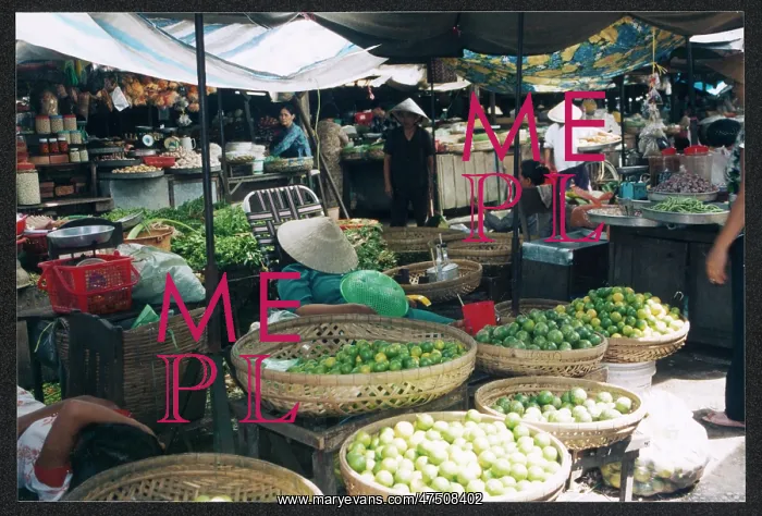 : FRUIT SELLER / MARKET / C20 : FRUIT SELLER / MARKET / C20
