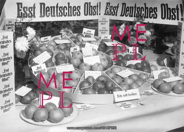 : Fruit stand at the horticultural exhibition in Berlin-Kaulsd : Fruit stand at the horticultural exhibition in Berlin-Kaulsd