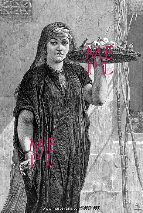 : A Fruit-Woman of Cairo : A Fruit-Woman of Cairo