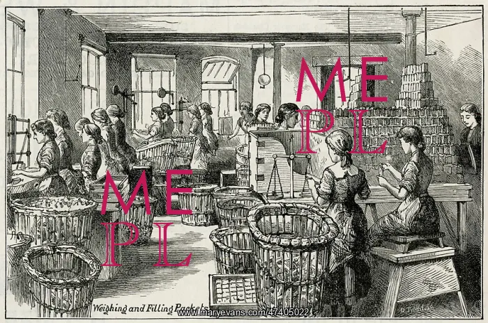 : Fry's Chocolate & Cocoa manufactory 1884 : Fry's Chocolate & Cocoa manufactory 1884