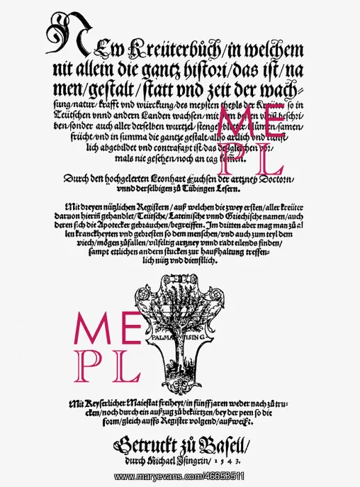 : Fuchs, Leonhart, 17.1.1501 - 10.5.1566, German : Fuchs, Leonhart, 17.1.1501 - 10.5.1566, German