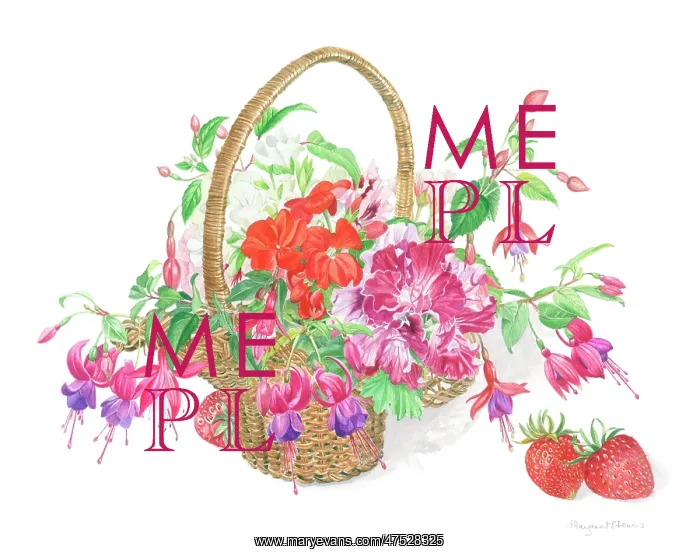 : Fuchsias and other flowers in a basket : Fuchsias and other flowers in a basket