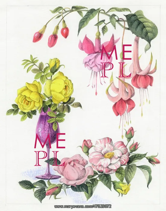 : Fuchsias with yellow and pink roses : Fuchsias with yellow and pink roses