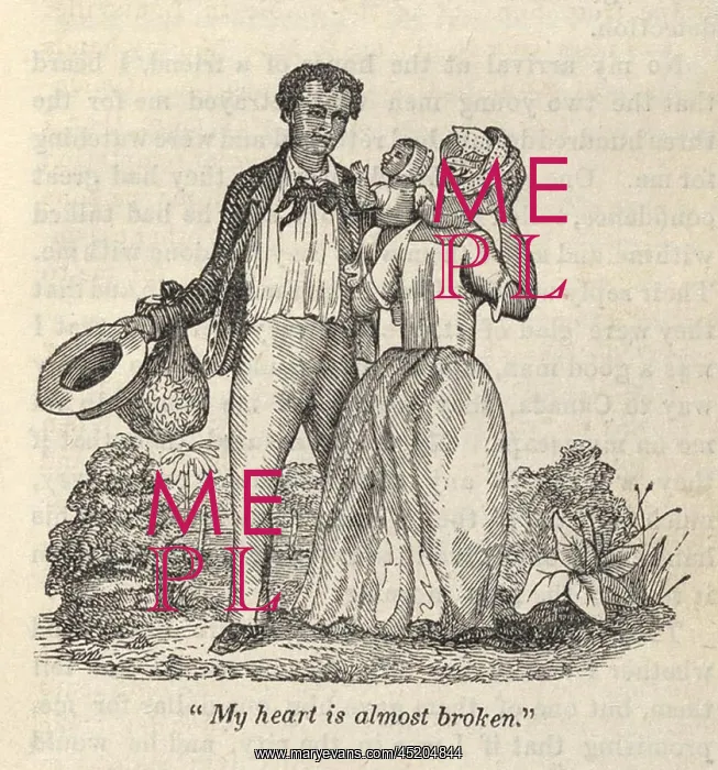 : Fugitive slave Henry Bibb escaped to the ? : Fugitive slave Henry Bibb escaped to the ?
