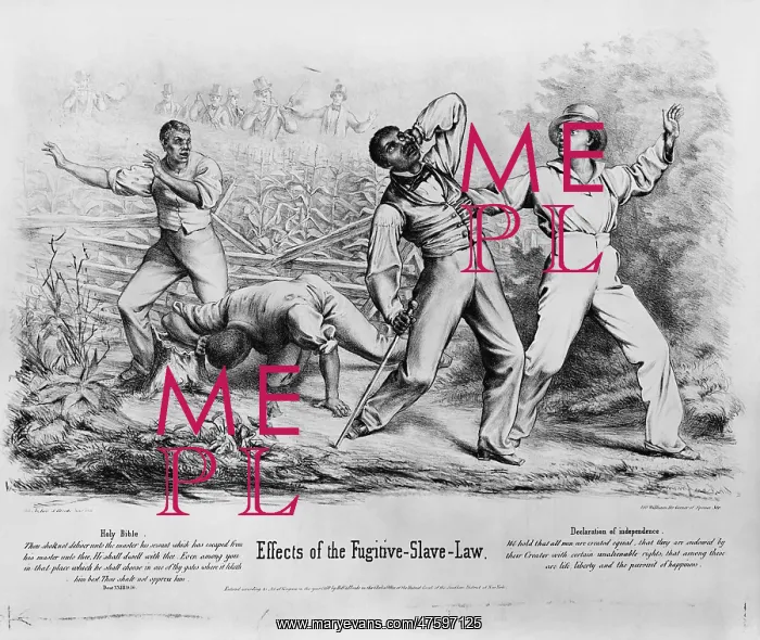 : Fugitive Slave Law : Fugitive Slave Law