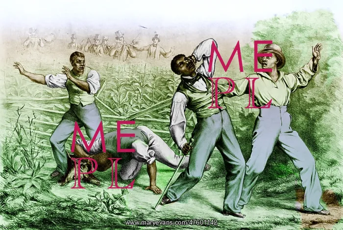 : Fugitive Slave Law : Fugitive Slave Law