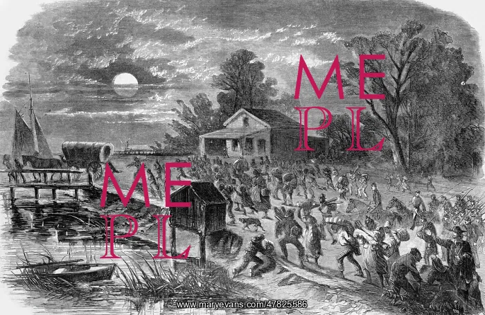 : Fugitive Slaves, Civil War, 1861 : Fugitive Slaves, Civil War, 1861
