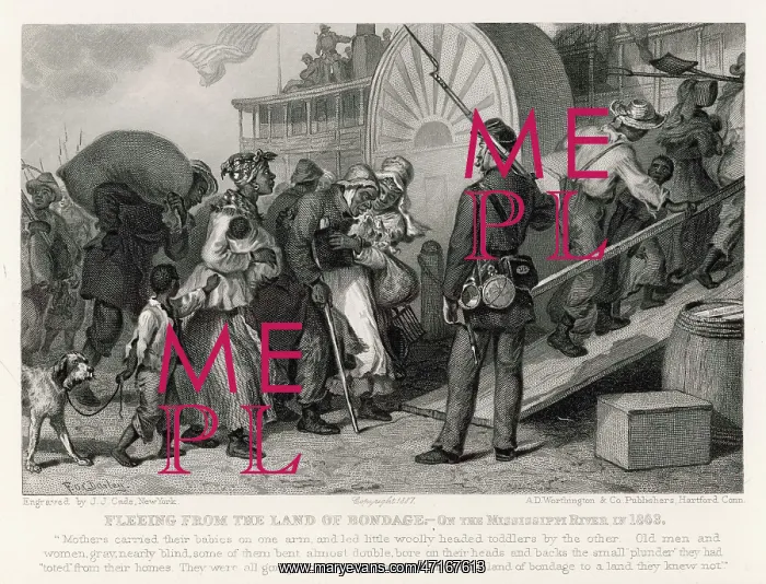 : FUGITIVE SLAVES IN USA : FUGITIVE SLAVES IN USA