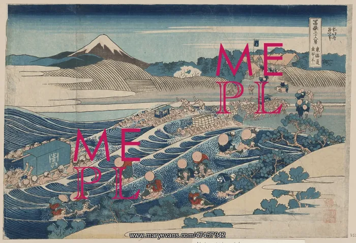 : Fuji at Kanaya on the Tokaido : Fuji at Kanaya on the Tokaido