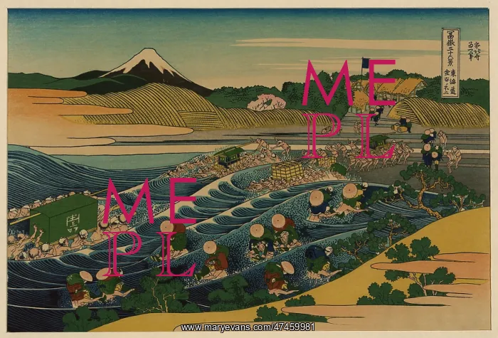 : Fuji at Kanaya on the Tokaido : Fuji at Kanaya on the Tokaido