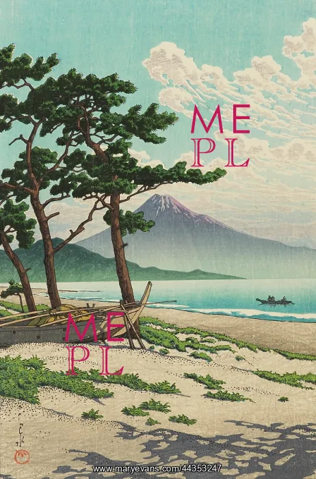 : Fuji from lake shore : Fuji from lake shore