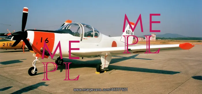 : Fuji T-5 6316 : Fuji T-5 6316