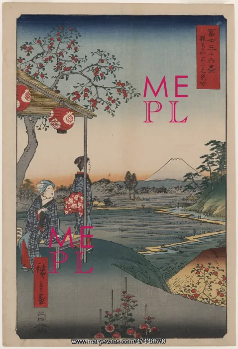 : Fujimi Teahouse at Zoshigaya : Fujimi Teahouse at Zoshigaya