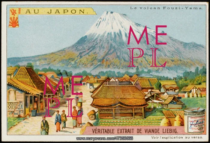  : FUJIYAMA (LIEBIG)