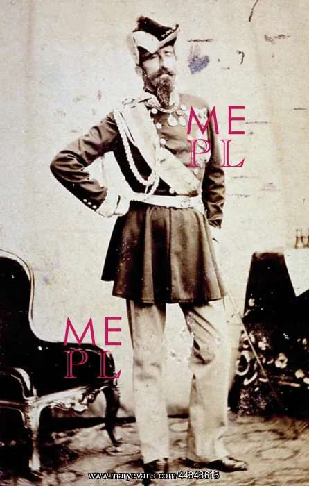 : Full-length portrait of general Alfonso : Full-length portrait of general Alfonso