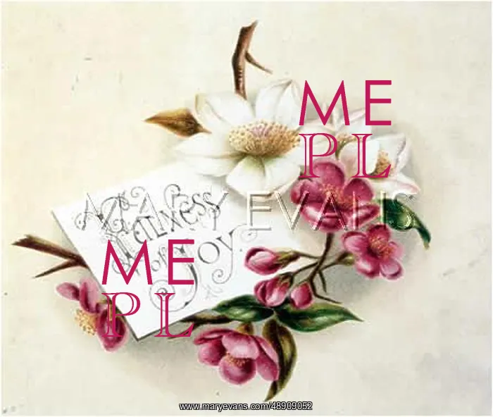 : FULNESS OF JOY PLATE 1 : FULNESS OF JOY PLATE 1