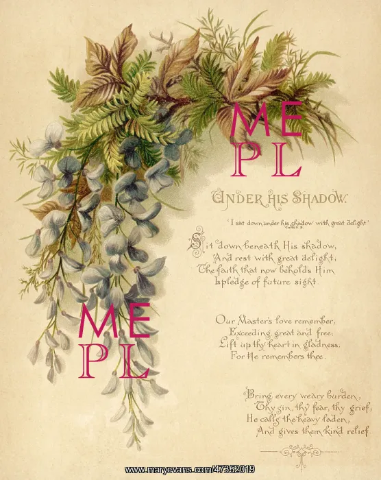  : Fulness of Joy Plate 10