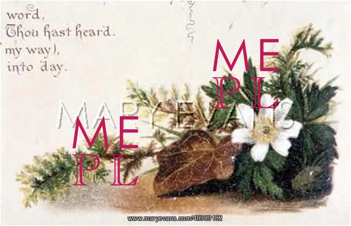 : FULNESS OF JOY PLATE 14 : FULNESS OF JOY PLATE 14