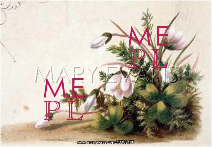 : FULNESS OF JOY PLATE 17 : FULNESS OF JOY PLATE 17