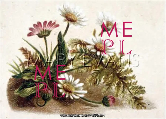 : FULNESS OF JOY PLATE 19 : FULNESS OF JOY PLATE 19