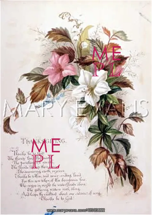 : FULNESS OF JOY PLATE 20 : FULNESS OF JOY PLATE 20