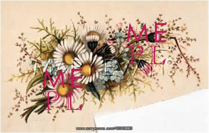 : FULNESS OF JOY PLATE 21 : FULNESS OF JOY PLATE 21