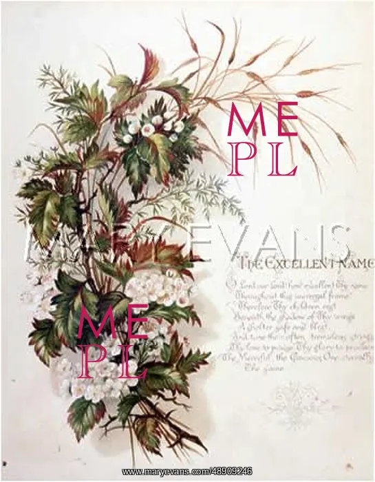 : FULNESS OF JOY PLATE 23 : FULNESS OF JOY PLATE 23