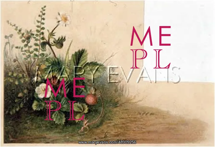 : FULNESS OF JOY PLATE 25 : FULNESS OF JOY PLATE 25