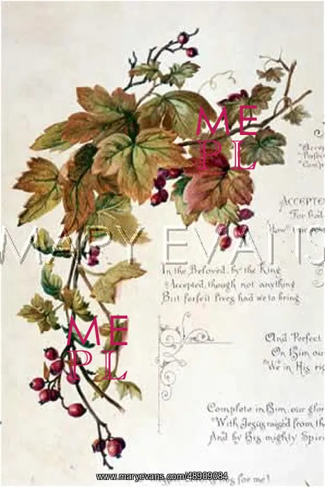 : FULNESS OF JOY PLATE 3 : FULNESS OF JOY PLATE 3