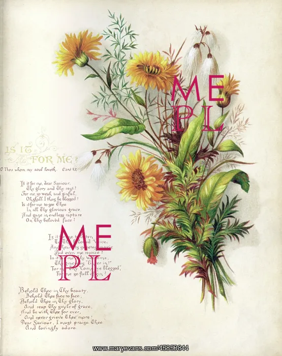: FULNESS OF JOY PLATE 4 : FULNESS OF JOY PLATE 4