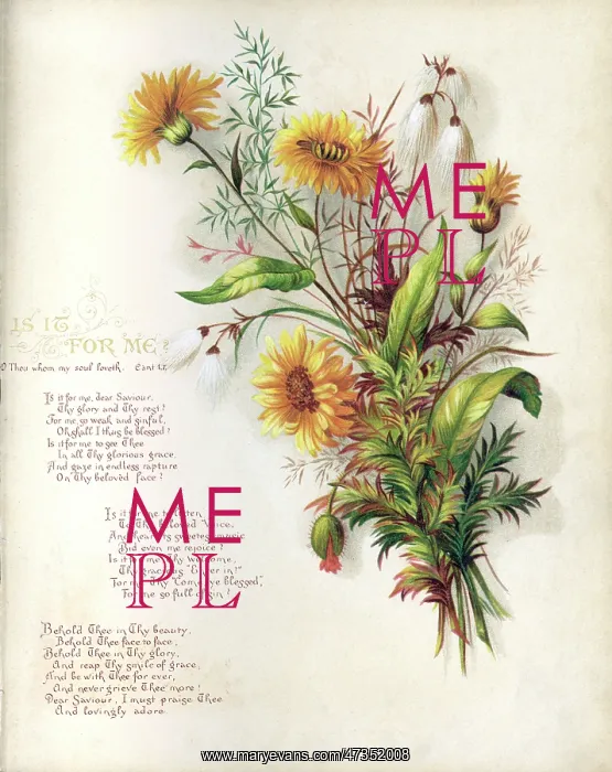 : FULNESS OF JOY PLATE 4 : FULNESS OF JOY PLATE 4