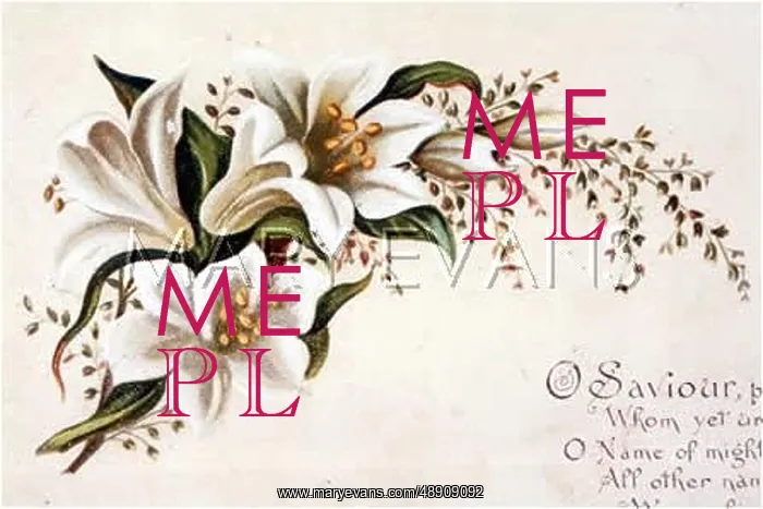: FULNESS OF JOY PLATE 5 : FULNESS OF JOY PLATE 5