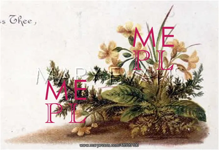 : FULNESS OF JOY PLATE 6 : FULNESS OF JOY PLATE 6