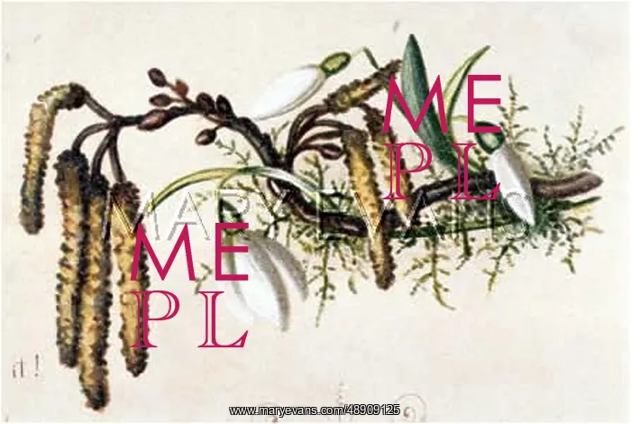 : FULNESS OF JOY PLATE 8 : FULNESS OF JOY PLATE 8