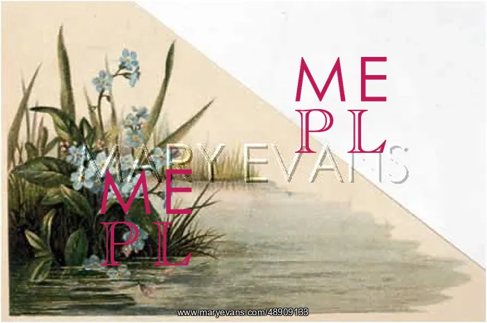 : FULNESS OF JOY PLATE 9 : FULNESS OF JOY PLATE 9