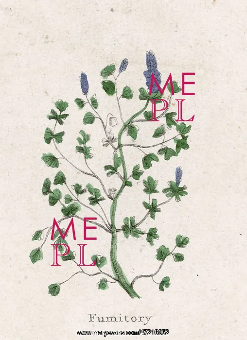 : FUMARIA OFFICINALIS