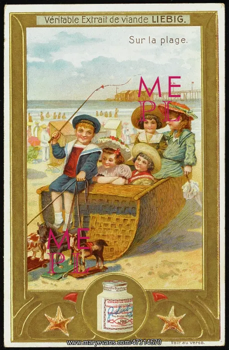  : Fun on the Beach